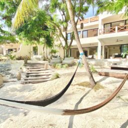 Garden with hammock and stone steps — Casa Lola, Isla Mujeres, Mexico