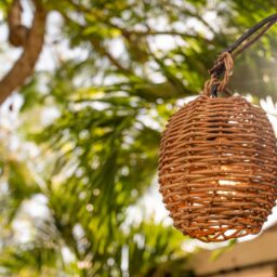 Woven lantern in the garden — Casa Lola, Isla Mujeres, Mexico