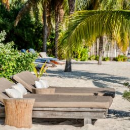 Beach loungers and palm trees — Casa Lola, Isla Mujeres, Mexico