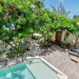 Plunge pool and garden — Casa Lola, Isla Mujeres, Mexico